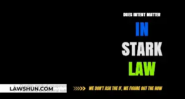 Does Intent Matter in Stark Law: A Comprehensive Analysis
