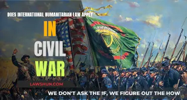 Humanitarian Law: Civil War and International Application