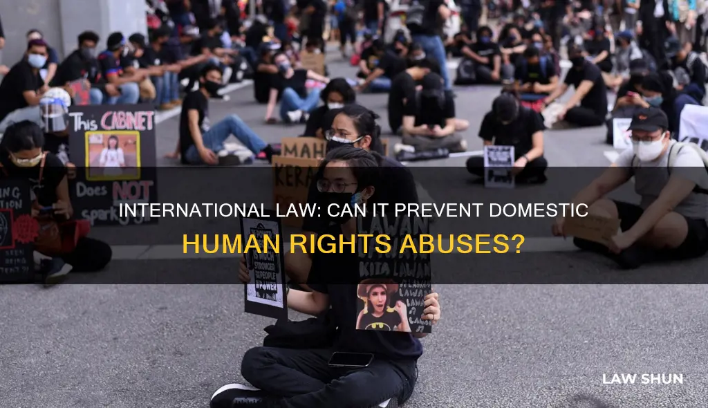 does international law apply to domestic human rights violations