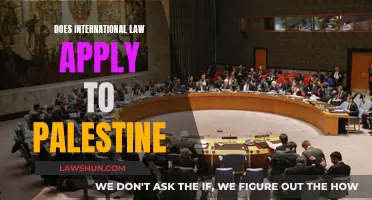 International Law in Palestine: Applicable or Not?