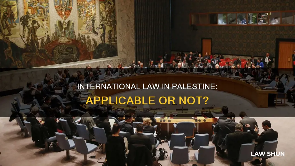 does international law apply to palestine