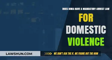 Iowa's Domestic Violence Laws: Understanding Mandatory Arrest Policies