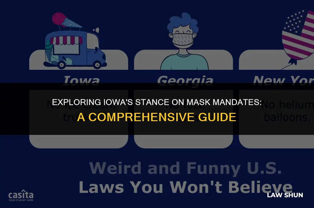 does iowa have a mask law