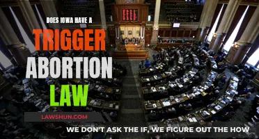 Iowa's Abortion Laws: Triggered by Supreme Court Decision?