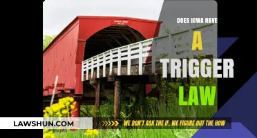 Exploring Iowa's Legal Landscape: The Presence of Trigger Laws