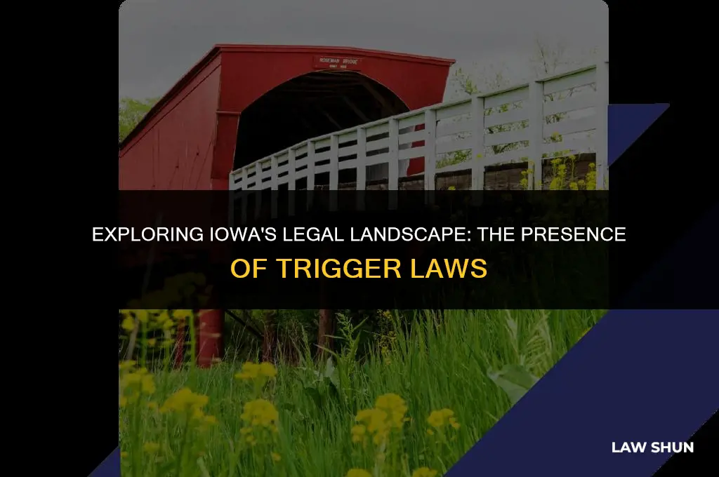 does iowa have a trigger law