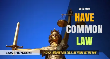Iowa's Common Law: What You Need to Know