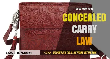 Iowa's Concealed Carry Law: Understanding Your Rights and Responsibilities