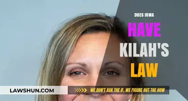 Understanding Kilah's Law: A Comprehensive Look at Iowa's Legal Landscape