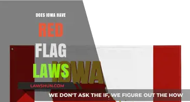 Understanding Iowa's Stance on Red Flag Laws: A Comprehensive Overview