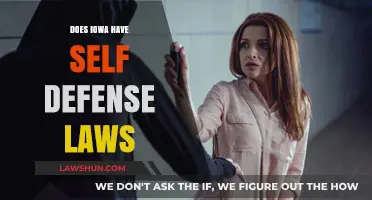 Understanding Iowa's Self-Defense Laws: A Comprehensive Guide