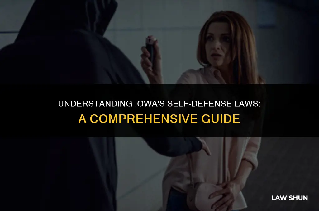 does iowa have self defense laws