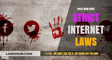 Navigating the Web in Iran: Understanding the Country's Internet Laws