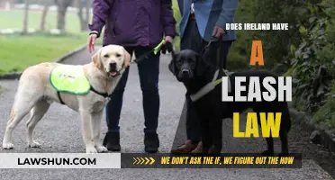 Exploring Ireland's Leash Laws: A Guide for Dog Owners