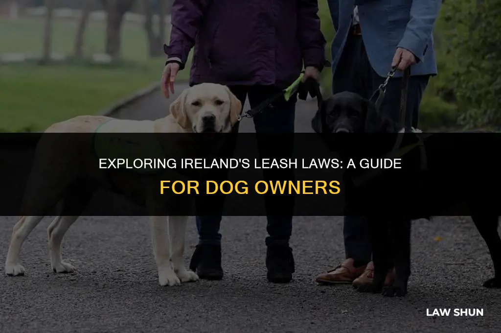 does ireland have a leash law
