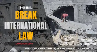 Israel's Actions: International Law Violation or Self-Defense?