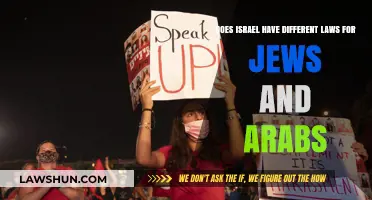 Israel's Legal System: Separate Laws for Jews and Arabs?