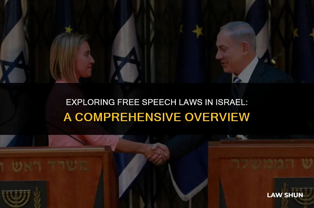 does isreal have free speech laws