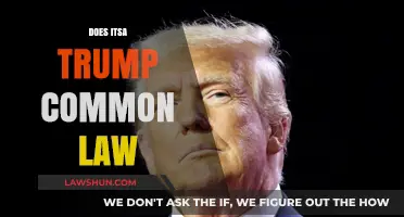 Common Law: Does ITSA Trump?