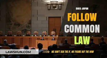 Japan's Legal System: Common Law or Not?