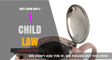 Japan's Family Planning: Debunking the One-Child Policy Myth