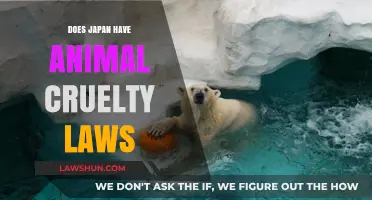 Exploring Japan's Legal Protections for Animal Welfare