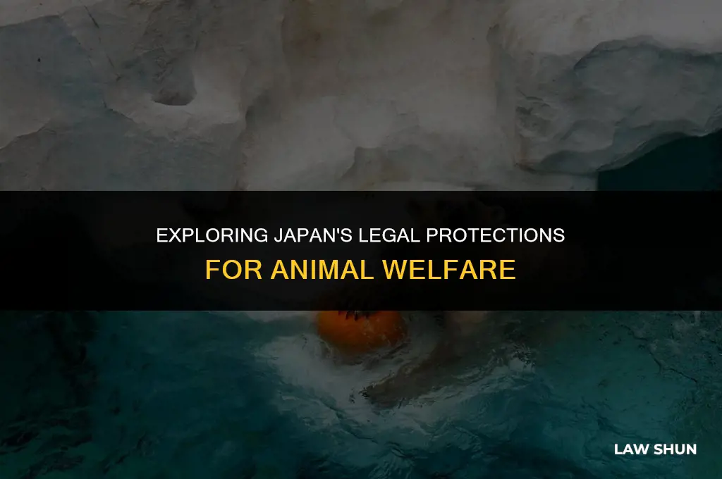does japan have animal cruelty laws