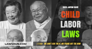 Child Labor Laws in Japan: Understanding Protections and Regulations