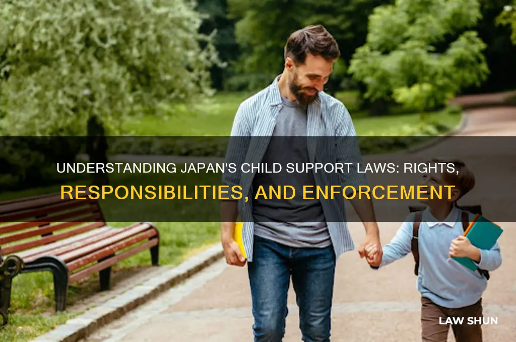 does japan have child support laws