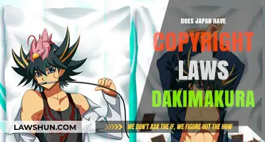 Japan's Copyright Laws and Dakimakura: Legal Insights for Collectors