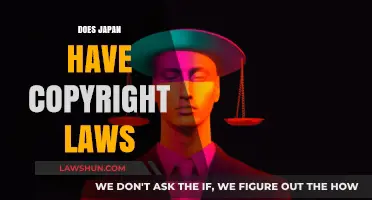 Understanding Japan's Copyright Laws: Protection, Enforcement, and International Compliance
