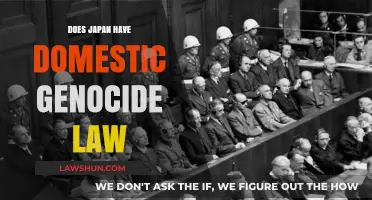 Exploring Japan's Legal Framework: The Absence of Domestic Genocide Laws