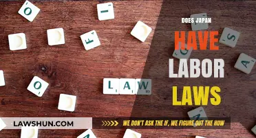 Understanding Japan's Labor Laws: Rights, Regulations, and Workplace Protections