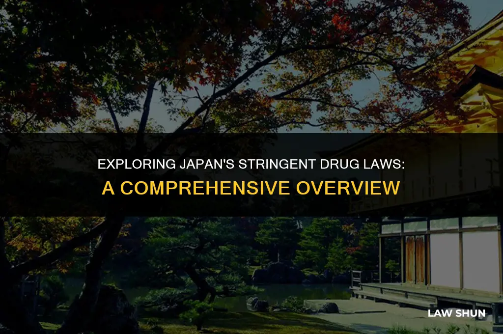 does japan have strict drug laws