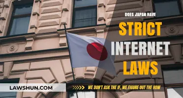 Exploring Japan's Internet Laws: A Comprehensive Overview