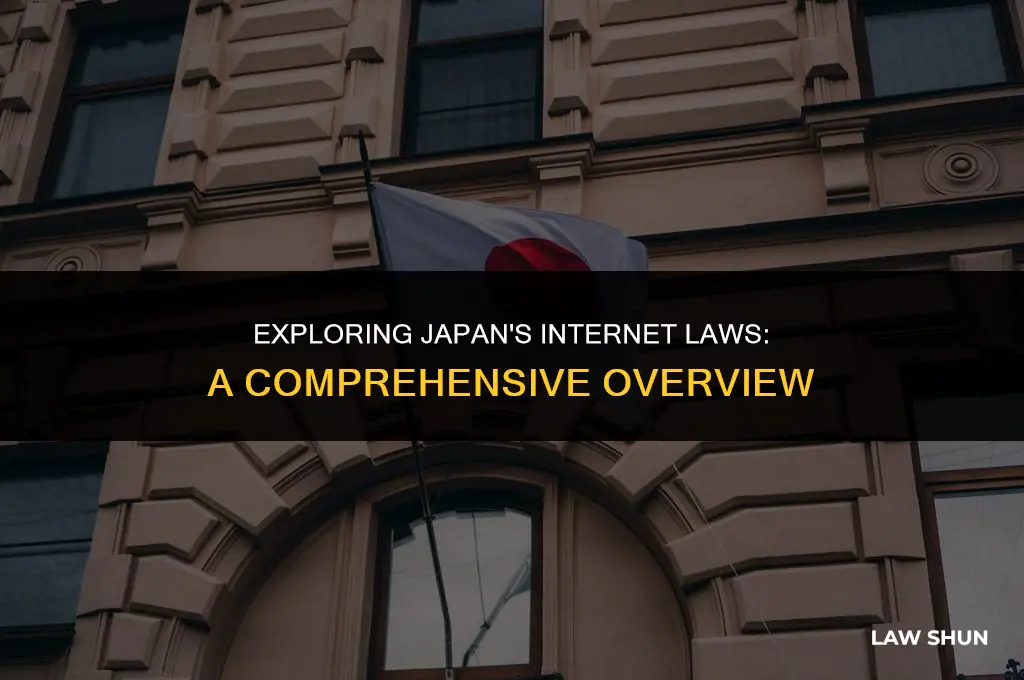 does japan have strict internet laws