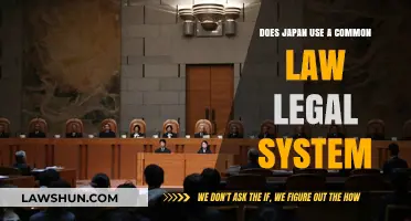 Japan's Legal System: Common or Civil Law?
