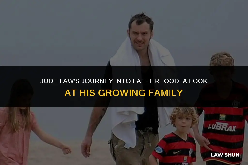 does jude law have a baby