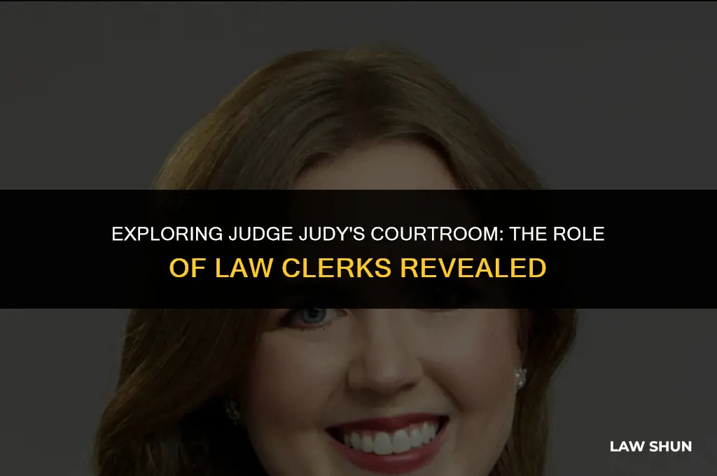 does judge judy have law clerks