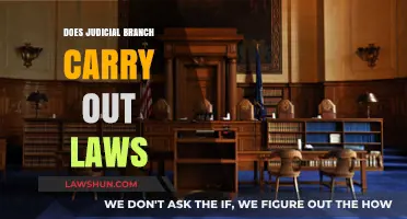 Does the Judicial Branch Enforce Laws? Understanding Its Role in Governance