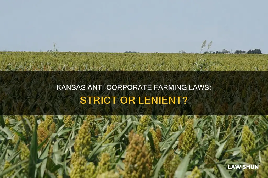 does kansas has significant restrictions for anti-corporate farming laws