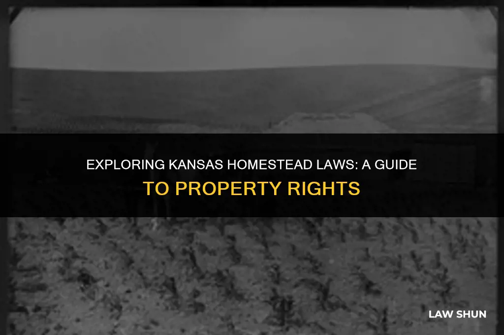 does kansas have a homestead law