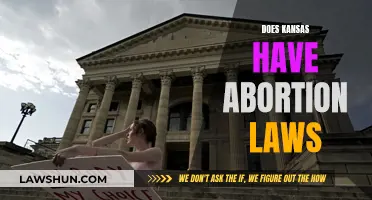 Kansas Abortion Laws: Understanding the Current Landscape