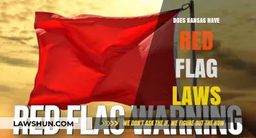 Understanding Kansas's Stance on Red Flag Laws: A Comprehensive Guide