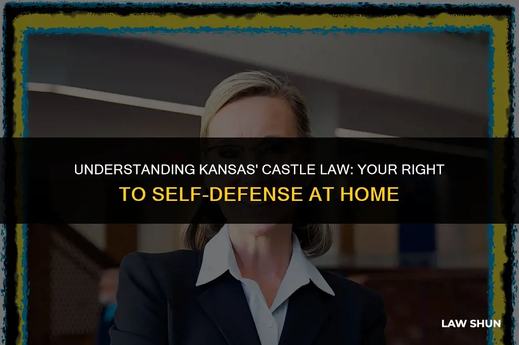does kansas have the castle law