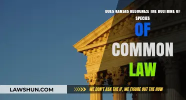 Kansas and the Species of Common Law Doctrine