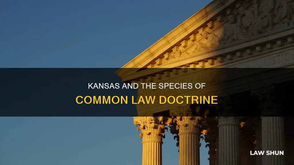does kansas recognize the doctrine of species of common law