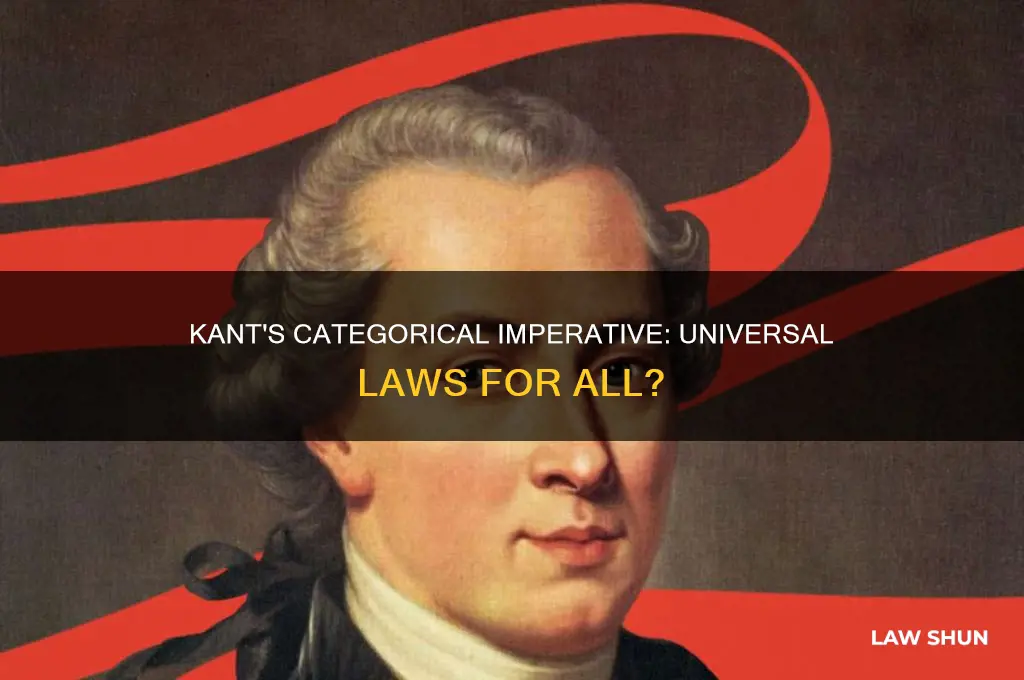does kant provide universal laws