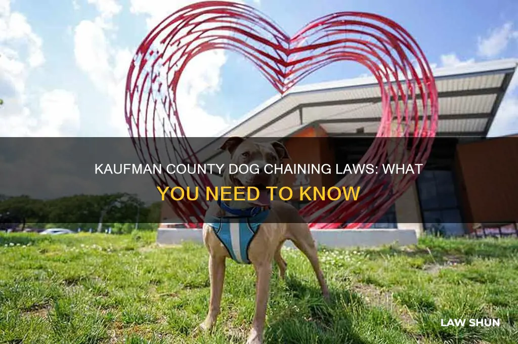 does kaufman county have a law for chaining up dogs