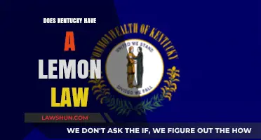 Kentucky Lemon Law: Protecting Consumers from Defective Vehicles
